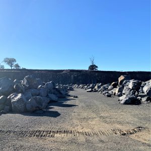 BQ Rock Garden